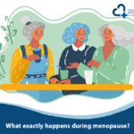 What exactly happens during menopause?