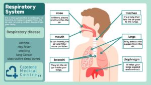 Protect Your Lungs and Airways
