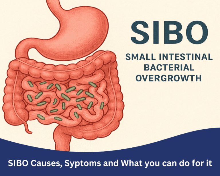 Illustration of the stomach and small intestine showing bacterial overgrowth, representing SIBO (Small Intestinal Bacterial Overgrowth).